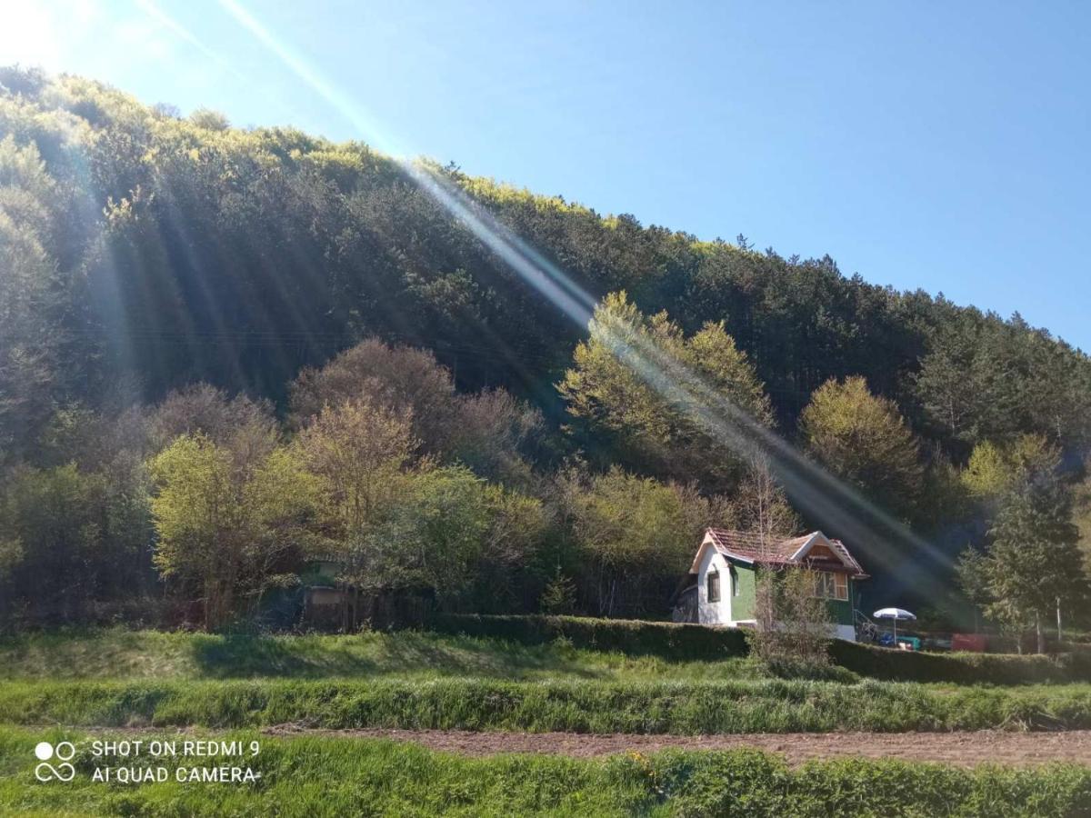 Vikendica Vrelo Pirot Exterior photo